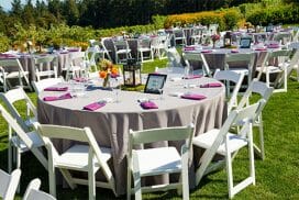 AA Rental Center | Local Party & Equipment Rentals | Melrose Park, IL