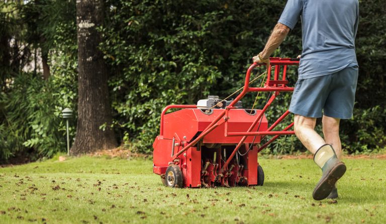 A homeowner used a lawn aerator for Spring cleanup.